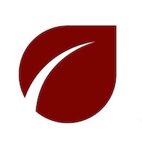 Blue Stream Trading